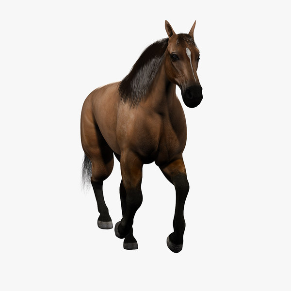 3d realistic horse model - Horse (ANIMATED) by Massimo Righi